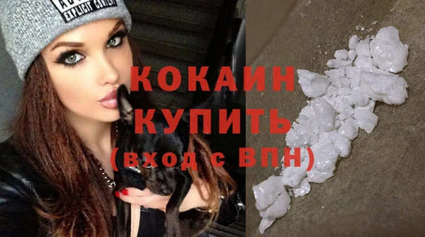 гидра Белокуриха