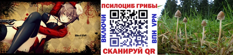 мориарти официальный сайт Коммунар Псилоцибиновые грибы GOLDEN TEACHER купить закладку